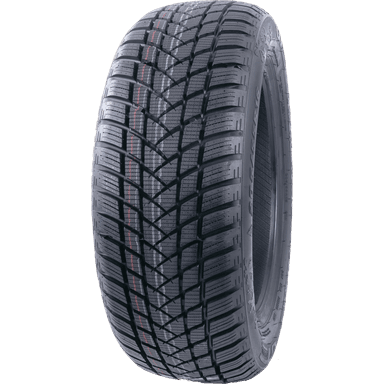 GTRadial WINTERPRO2