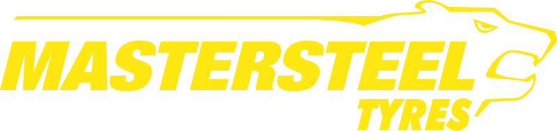 Logo Master-Steel
